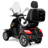 Rolektro Elektro-Quad Premium